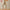MOVING PEACH Women Yoga Leggings High waist Multi-Pocket Fitness Leggings Quick-Dry High Stretch Sports Pants Gym HIIT Training Daily wear CLQ(new)