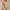 MOVING PEACH Women Sports Bodysuit One Piece Design Jumpsuit Ballet Leotard Adjustable Straps Removable Bra Cups Pilates Outfit Gym Dance Daily wear AJA