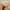 MOVING PEACH Women Sports Jackets Slim Fit Mock neck Fitness Coat Full Zip Outdoor Running Daily wear AST