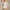 MOVING PEACH Women Sports Jackets Slim Fit Mock neck Fitness Coat Full Zip Outdoor Running Daily wear AST