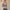 MOVING PEACH Women Sports Tank top Comfort Wide Shoulder Straps Yoga Top Breathable Removable Bra Cups Crop Top Fitness Running Dance Daily Wear AVV(lumair)